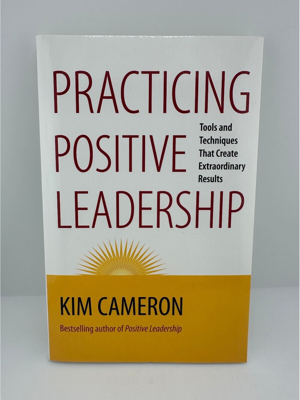 Practicing Positive Leadership Kim Cameron Tools Techniques Results PB 2013